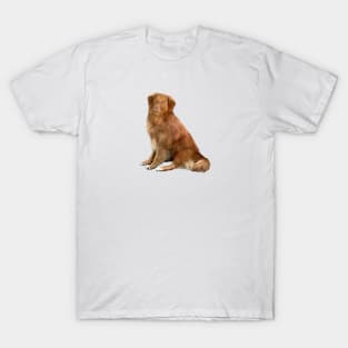 Nova Scotia Duck Tolling Retriever - just the dog T-Shirt